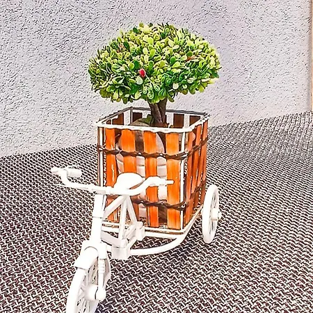 Cosega Luxury #propertly